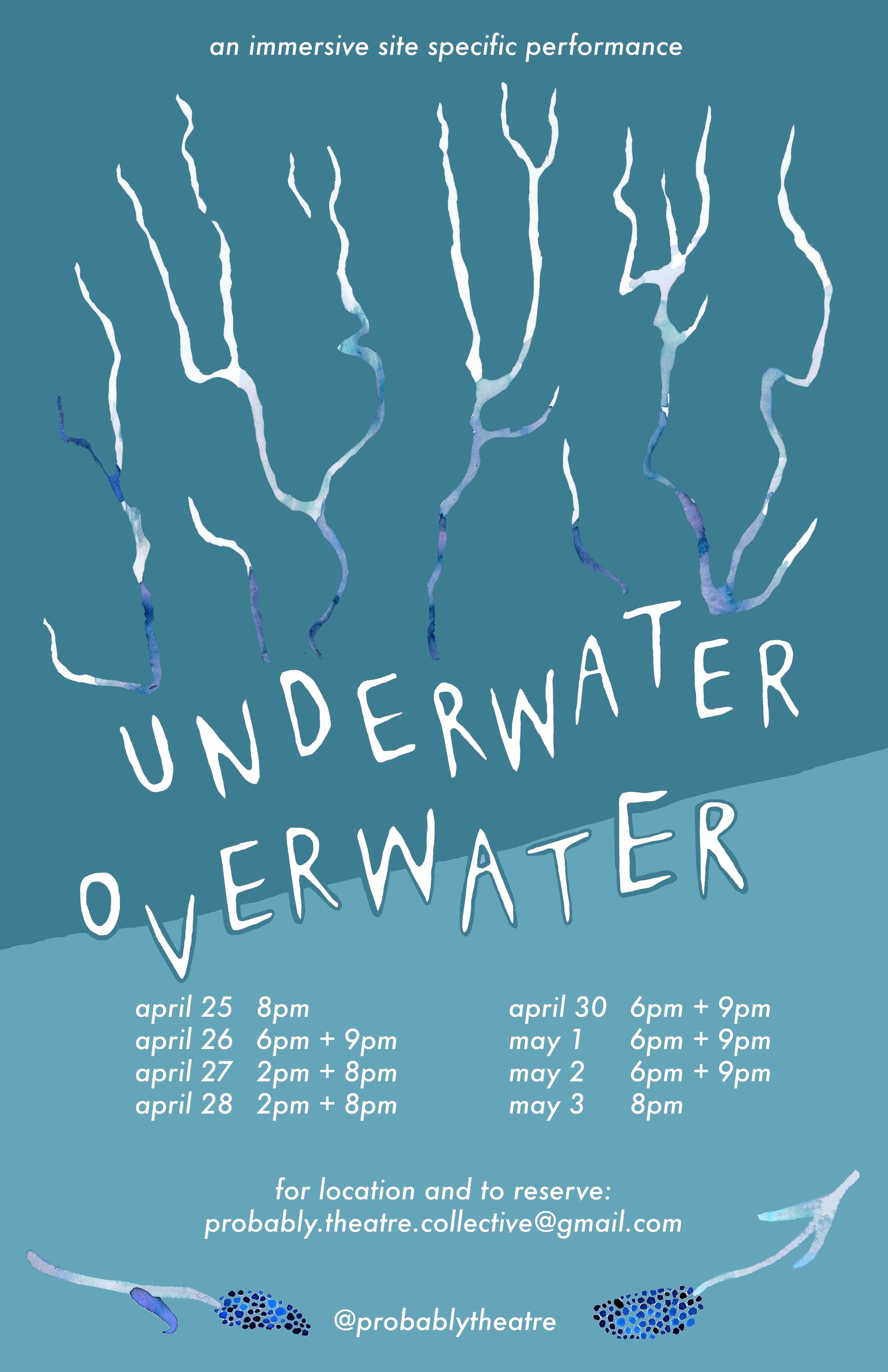 A poster for Underwater Overwater. It is shade of blue with painted rivers at the top and flowers at the bottom